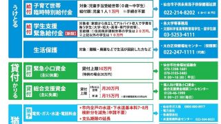 新型コロナウィルス感染症に伴う 主な支援策 個人・世帯（令和2年6月5日時点）